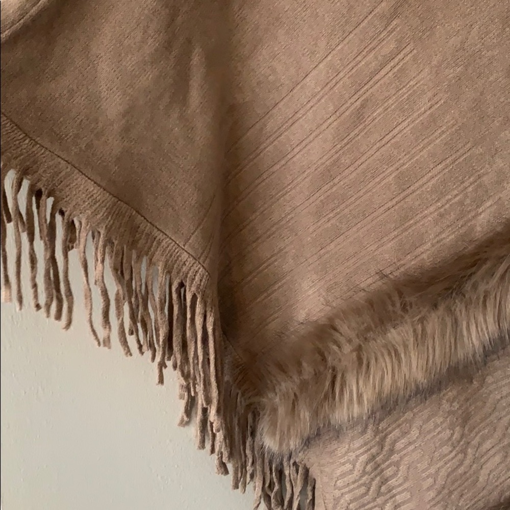 Pancho - Picture 3 of 4